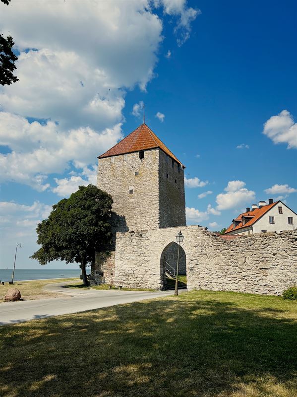 sweden-gotland-visby-vby-ringmuren-medieval-castle-wall-sas.jpg