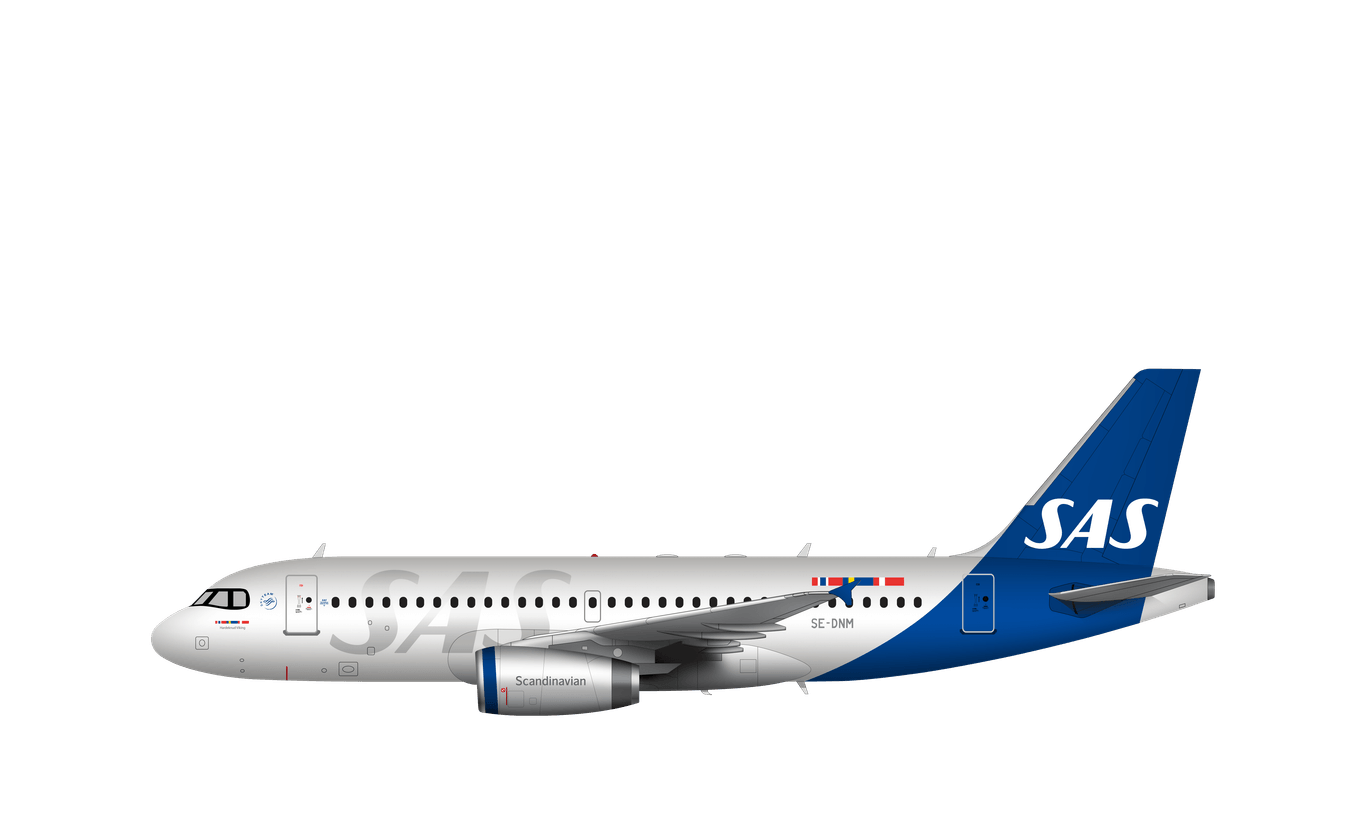 A319 V2500 with rakelet